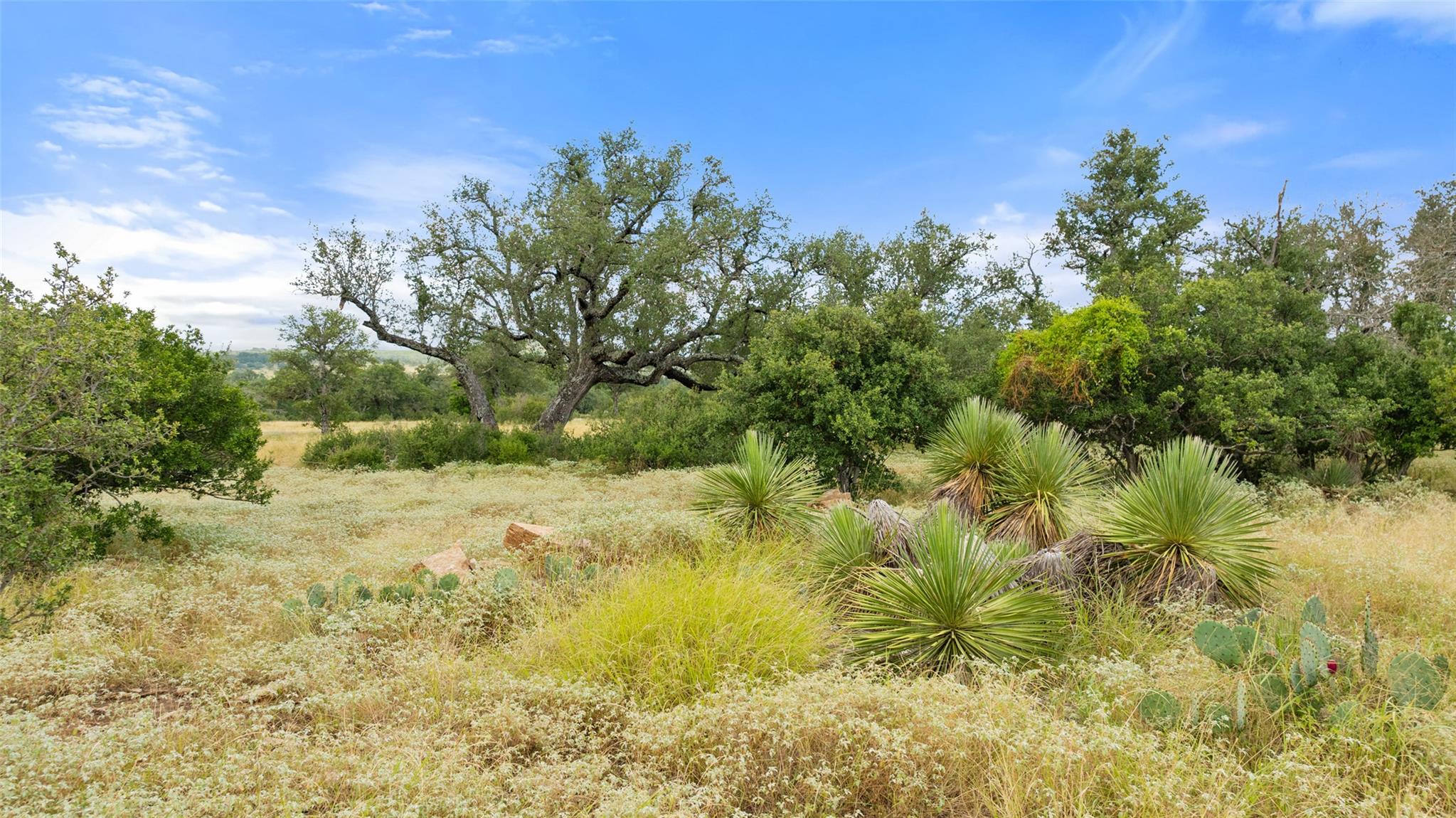 Lot 37 Vista Ridge Drive Round Mountain TX 78663