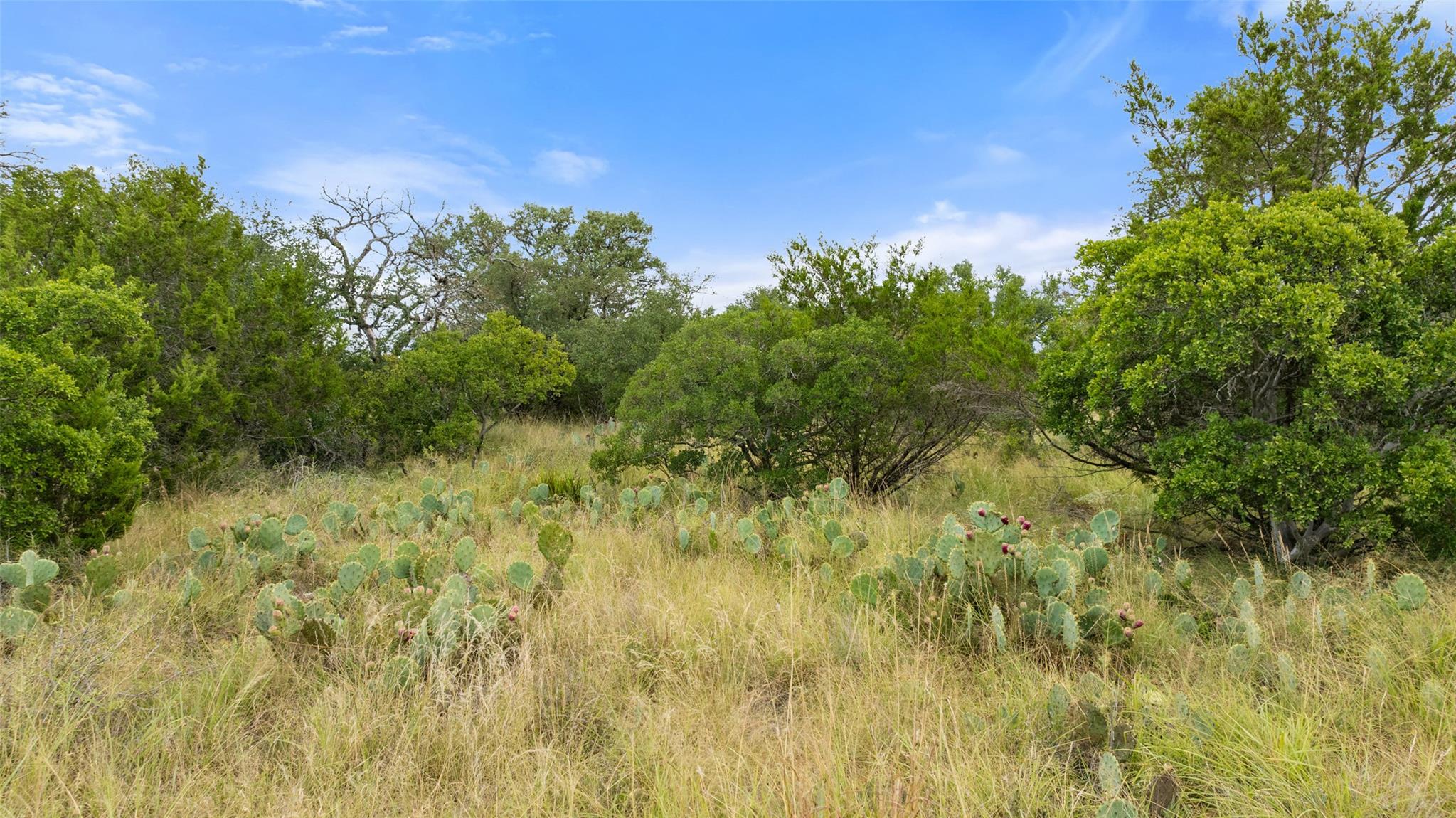 Lot 37 Vista Ridge Drive Round Mountain TX 78663