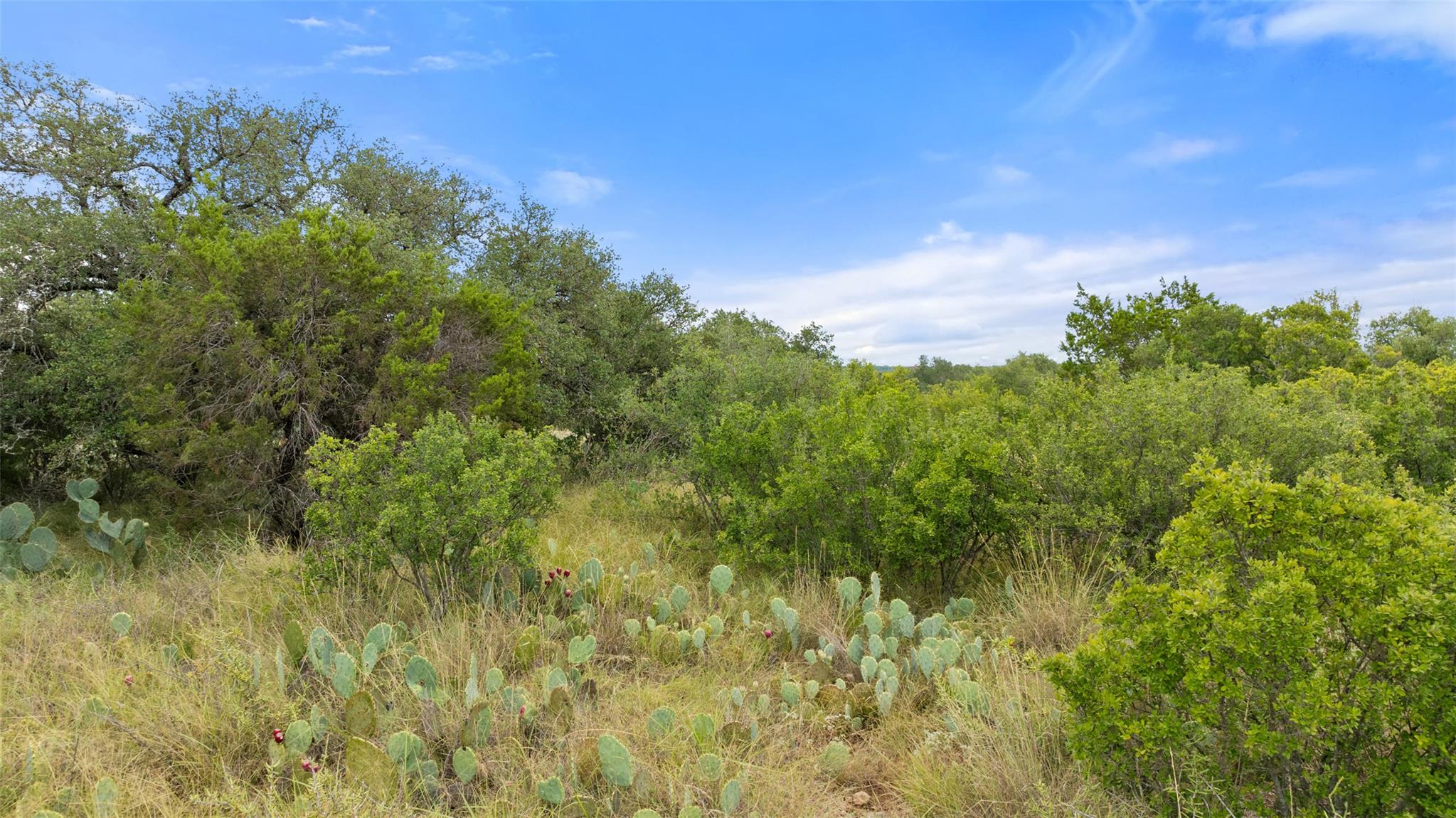 Lot 37 Vista Ridge Drive Round Mountain TX 78663