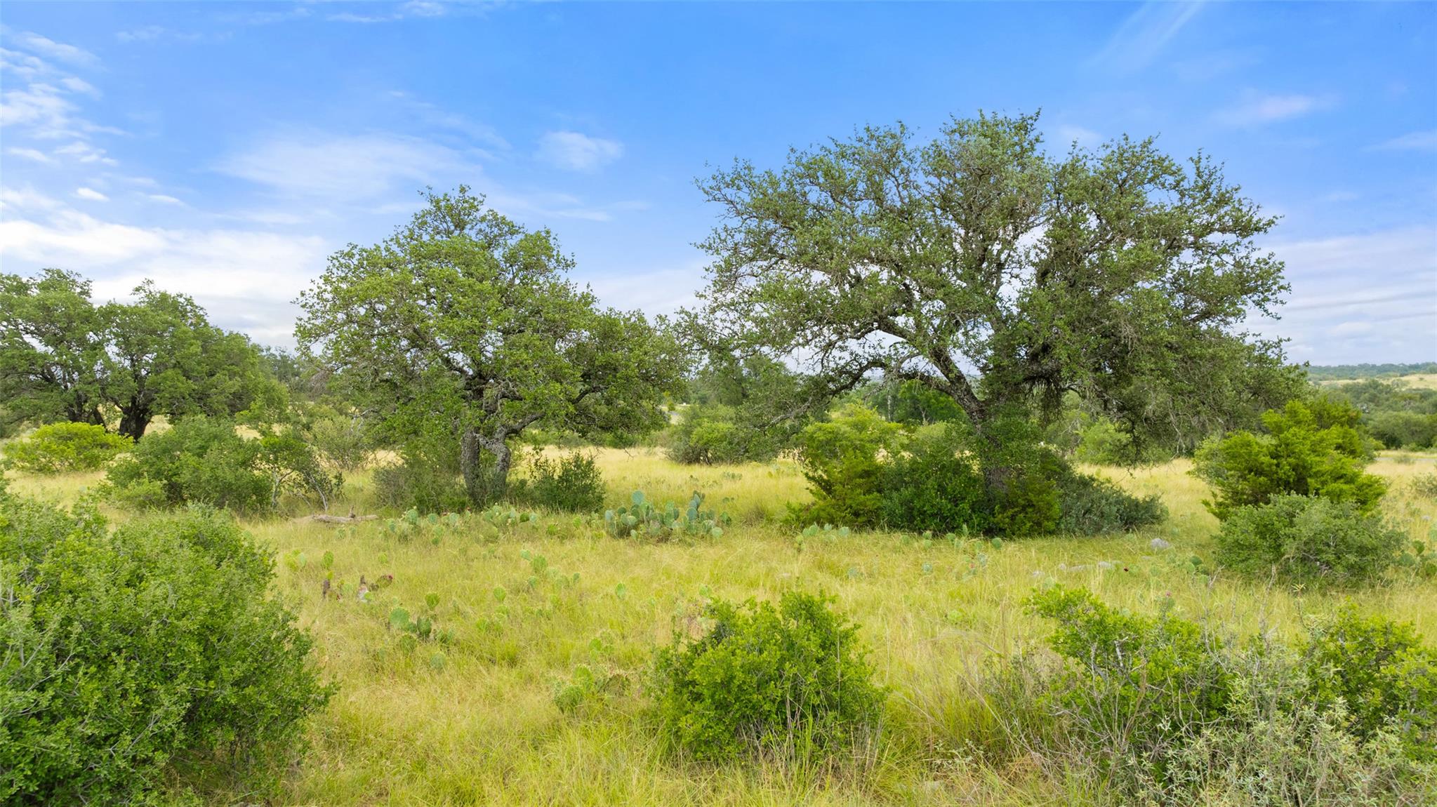 Lot 37 Vista Ridge Drive Round Mountain TX 78663