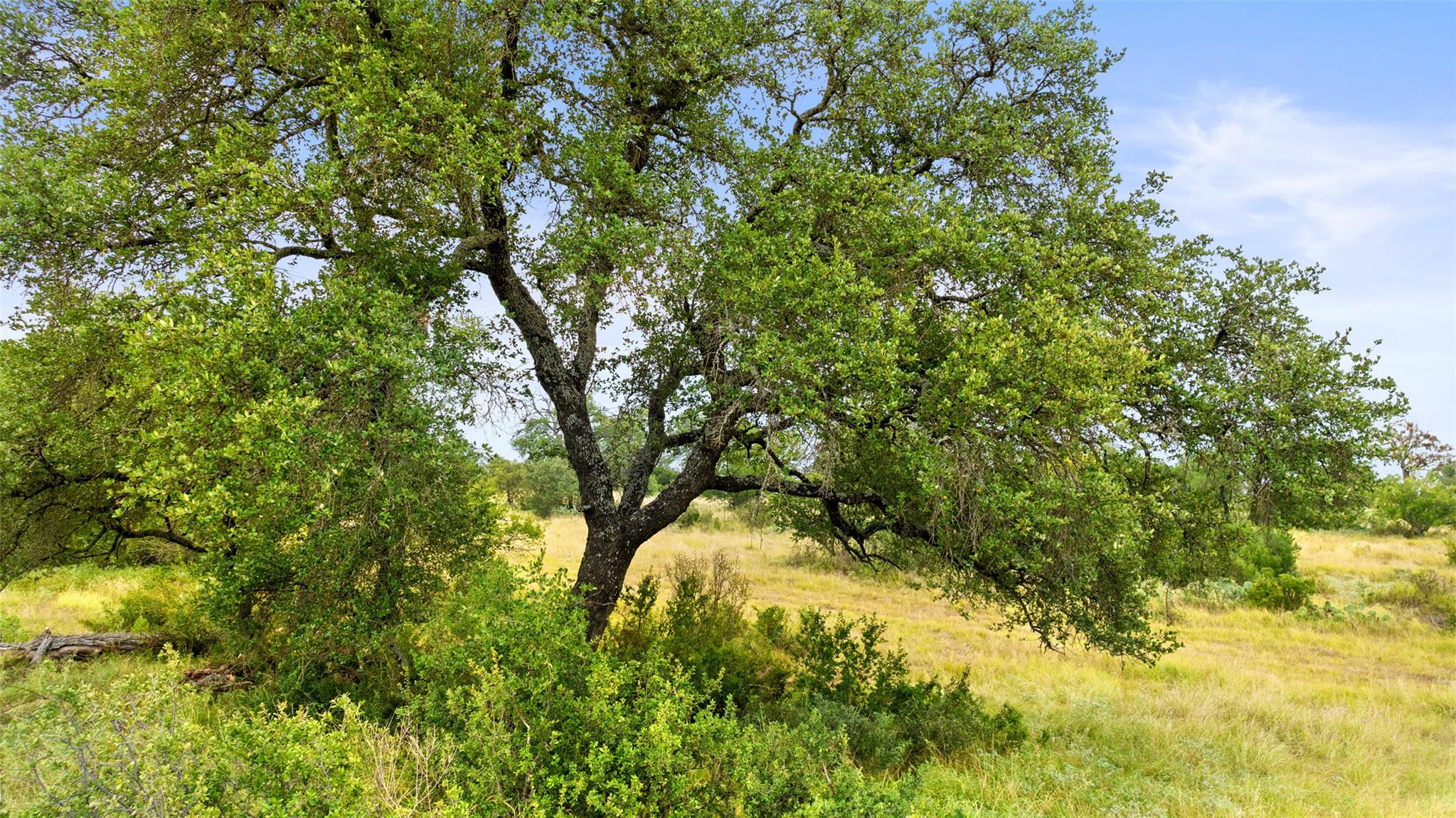 Lot 37 Vista Ridge Drive Round Mountain TX 78663