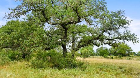 Lot 37 Vista Ridge Drive Round Mountain TX 78663