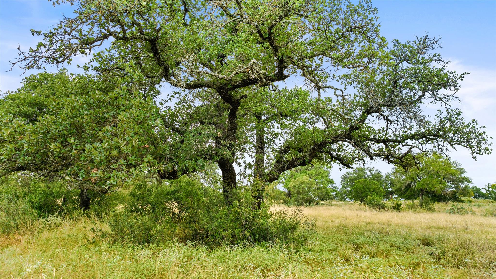 Lot 37 Vista Ridge Drive Round Mountain TX 78663