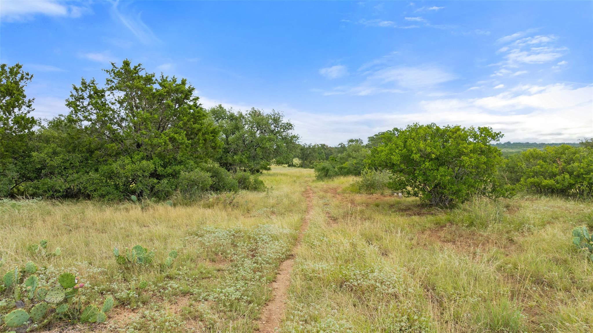 Lot 37 Vista Ridge Drive Round Mountain TX 78663
