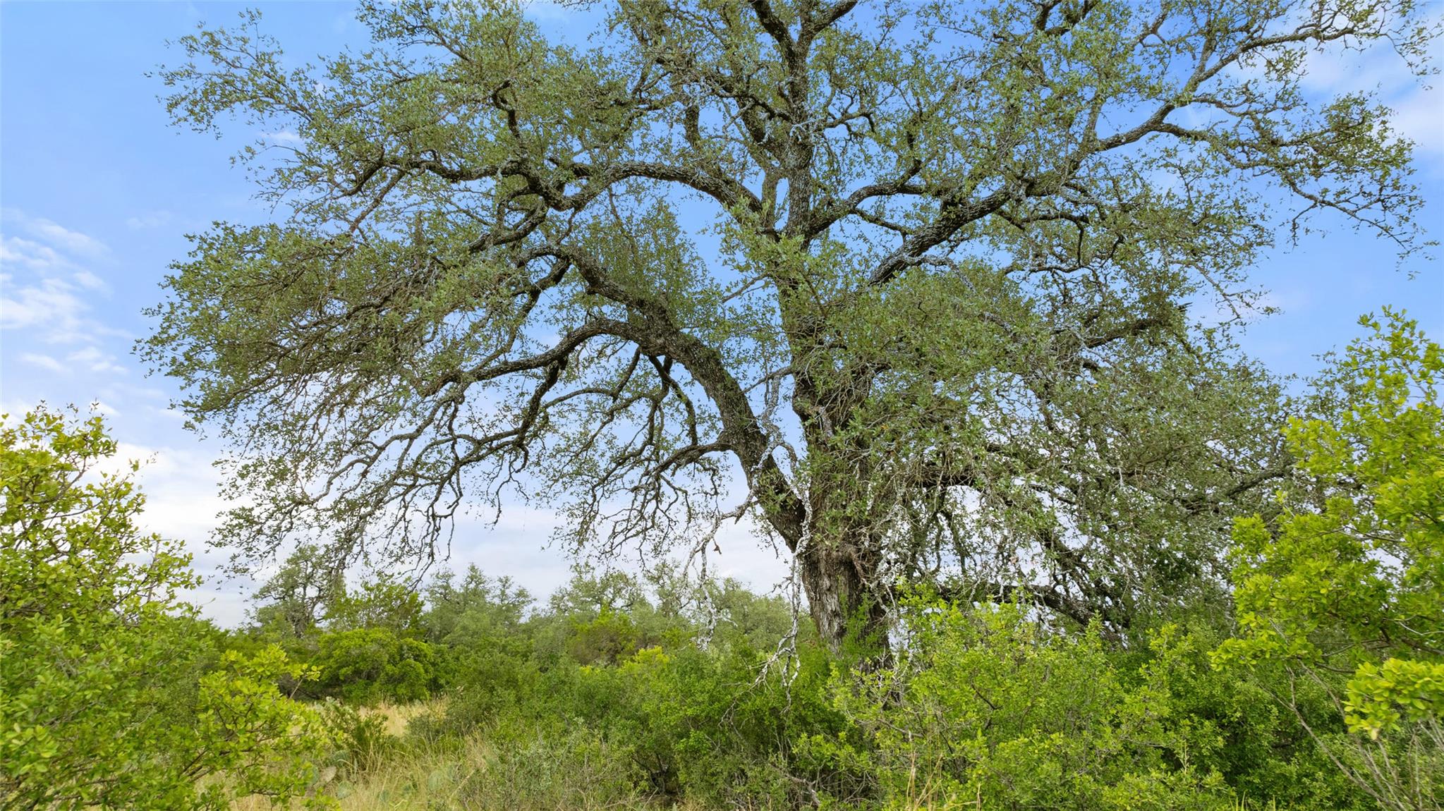 Lot 37 Vista Ridge Drive Round Mountain TX 78663