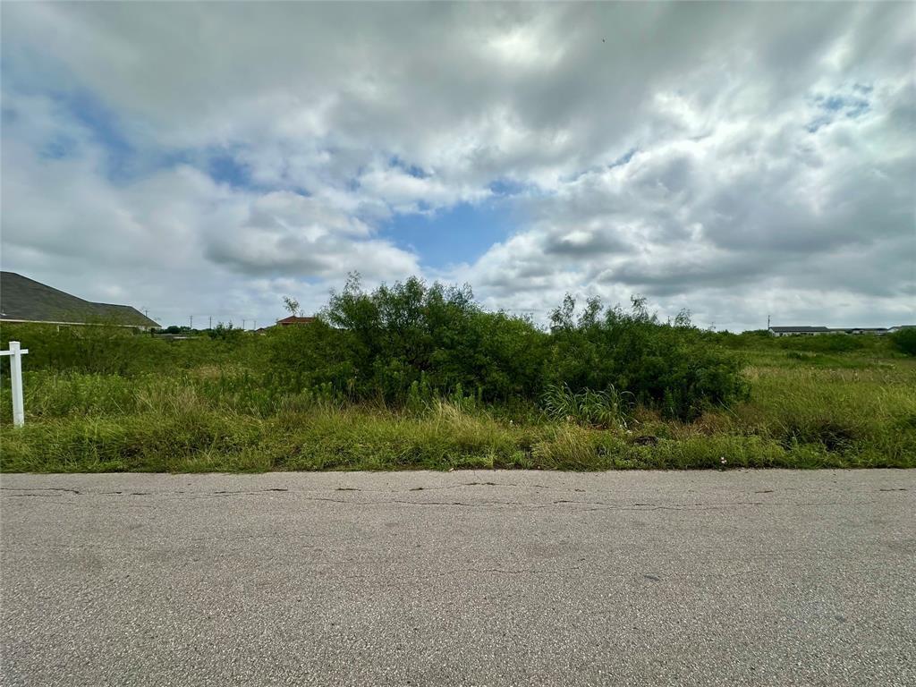 175 El Dorado Drive Kyle TX 78640