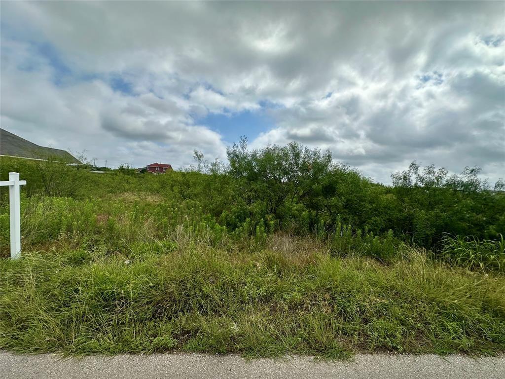 175 El Dorado Drive Kyle TX 78640