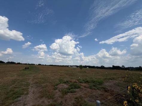 1079 Lomax Harmel Road Burton TX 77835