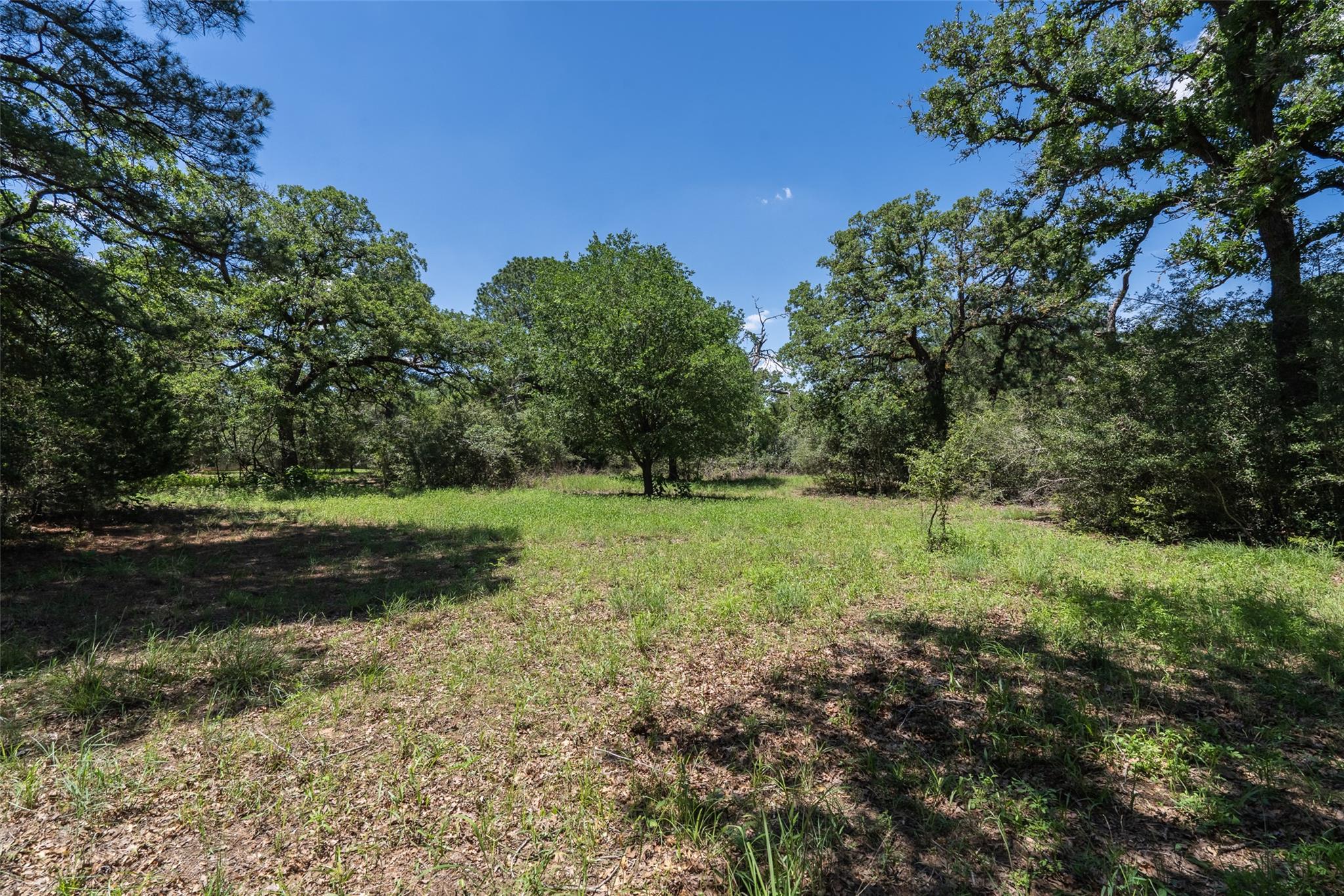 133 Roundup Ridge Smithville TX 78957