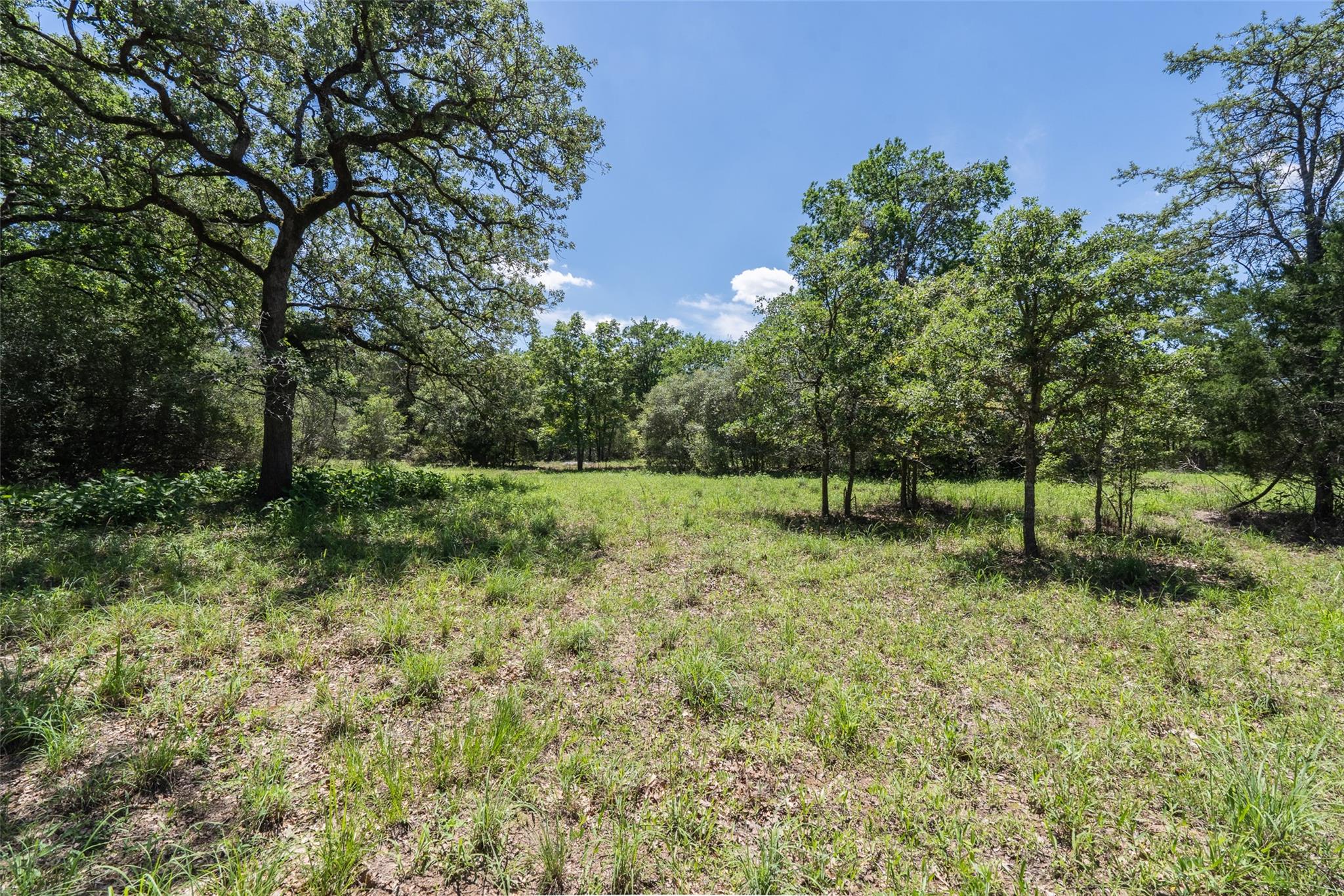 133 Roundup Ridge Smithville TX 78957