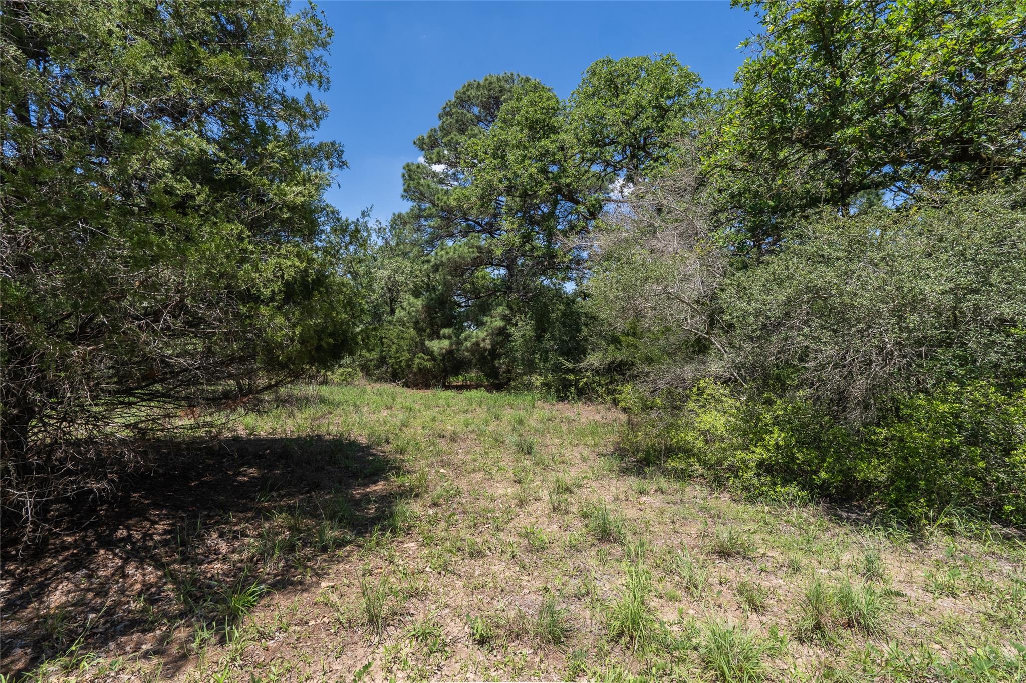 133 Roundup Ridge Smithville TX 78957