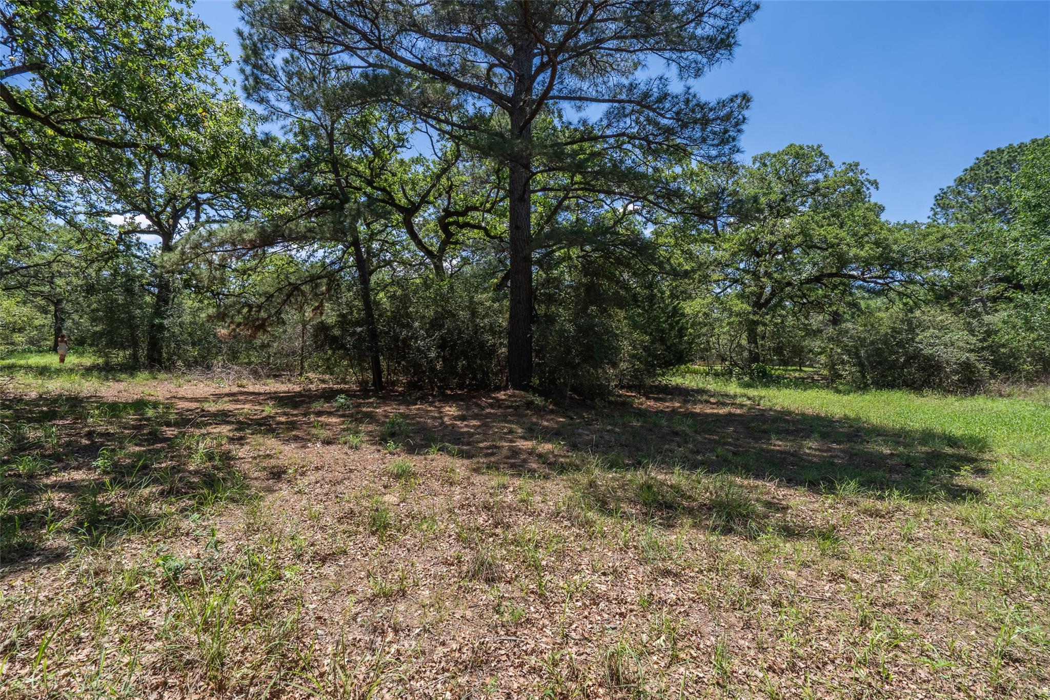 133 Roundup Ridge Smithville TX 78957