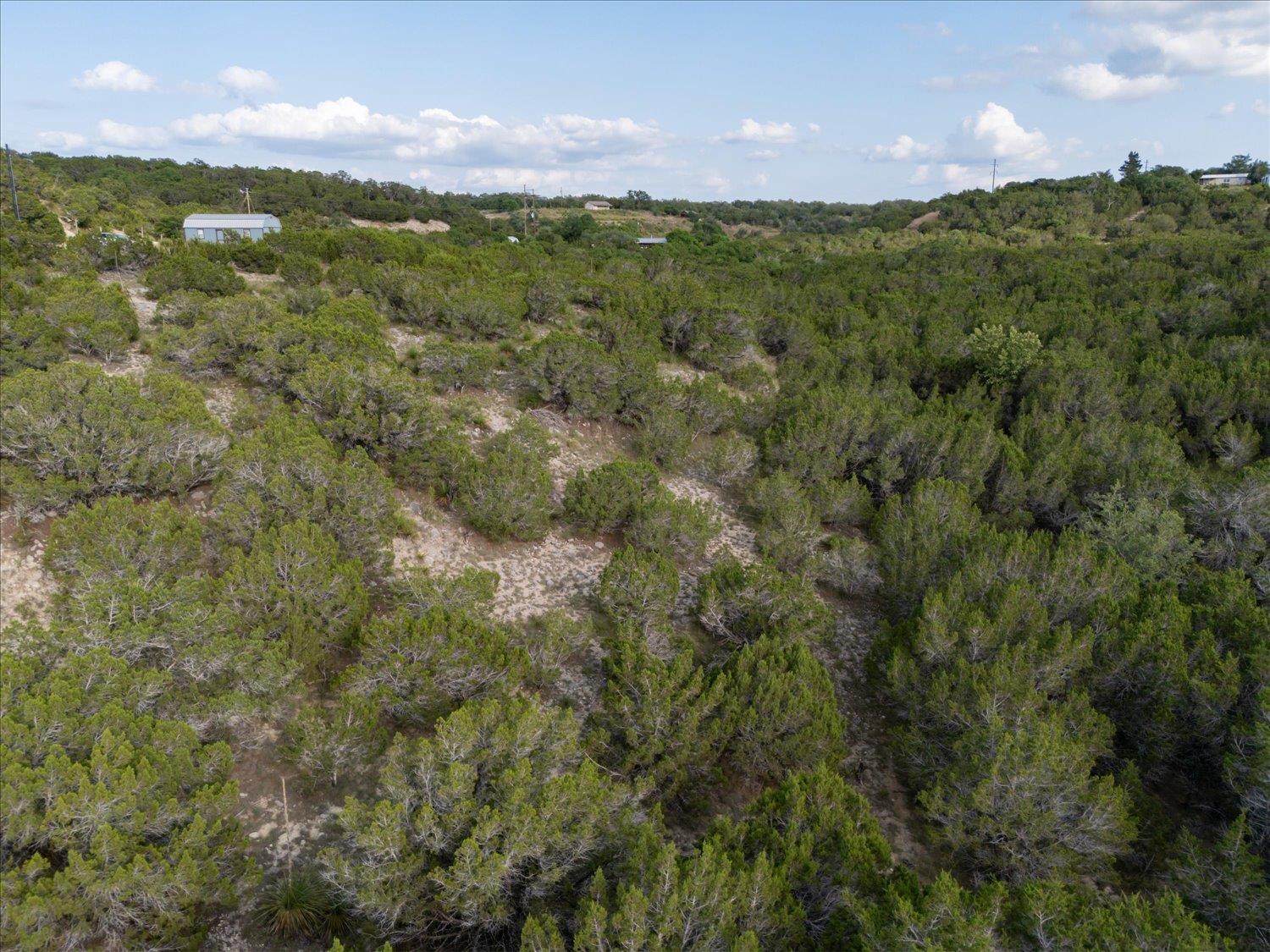 1227 Bonita Drive Blanco TX 78606