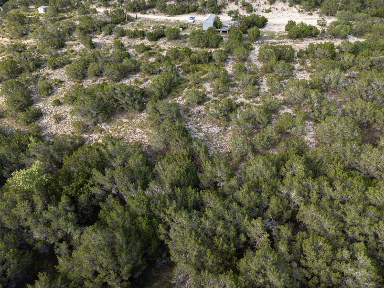 1227 Bonita Drive Blanco TX 78606