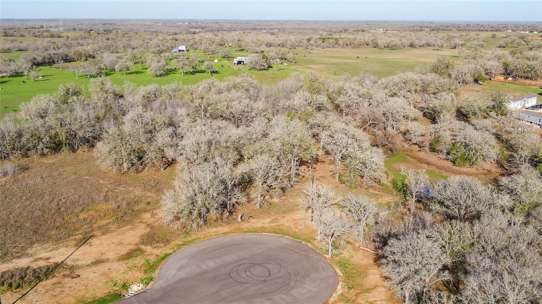 199 Azalea Court Dale TX 78616