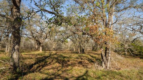 199 Azalea Court Dale TX 78616