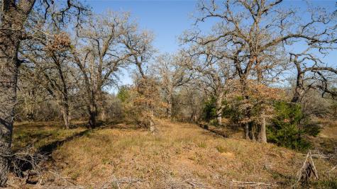 199 Azalea Court Dale TX 78616