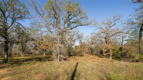 199 Azalea Court Dale TX 78616