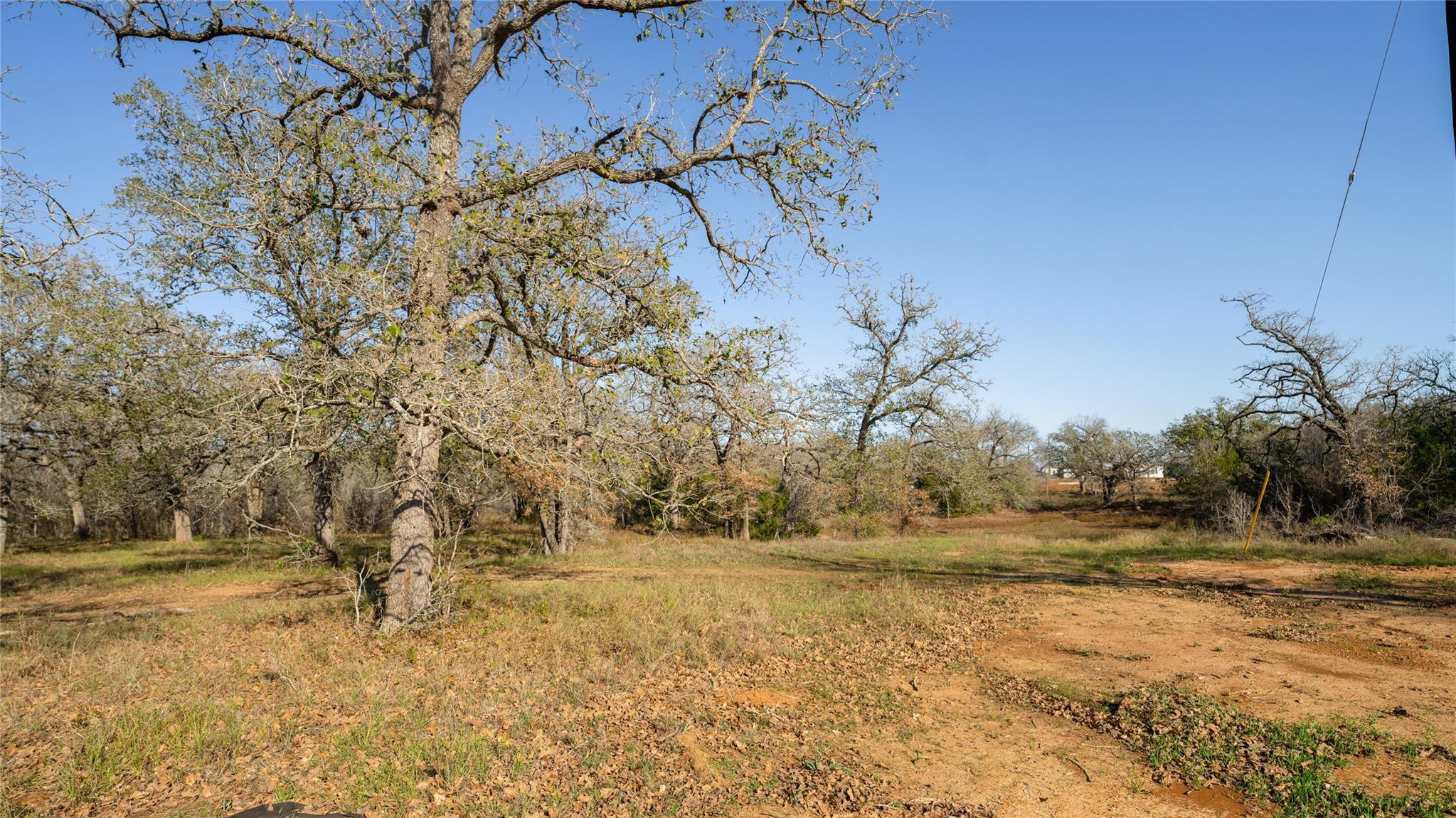 199 Azalea Court Dale TX 78616