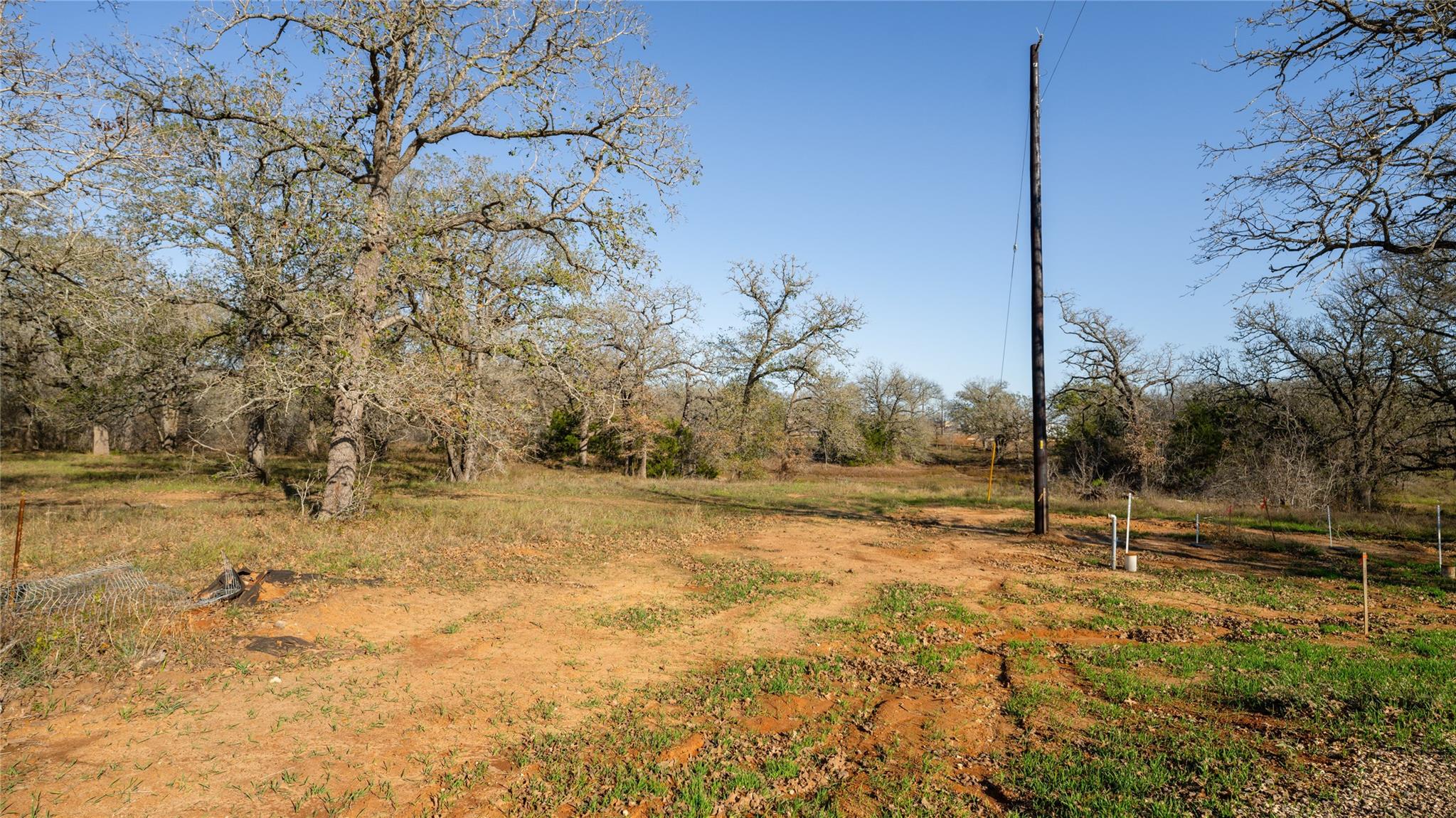 199 Azalea Court Dale TX 78616