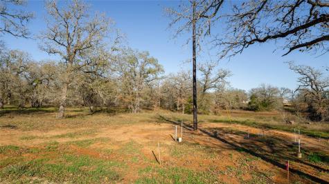 199 Azalea Court Dale TX 78616