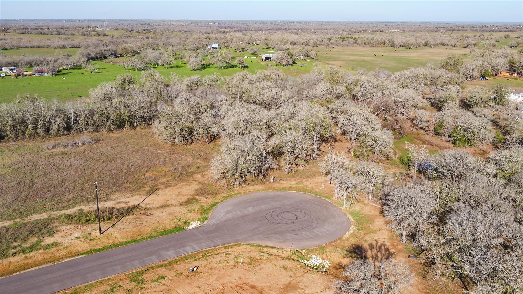 199 Azalea Court Dale TX 78616