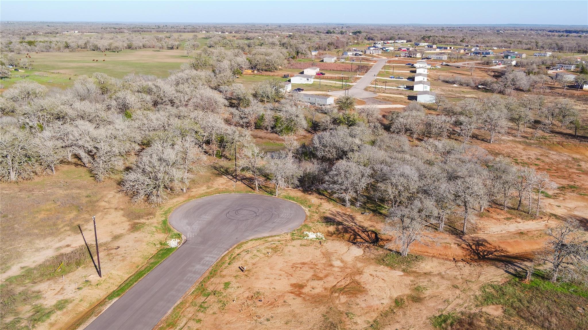 199 Azalea Court Dale TX 78616