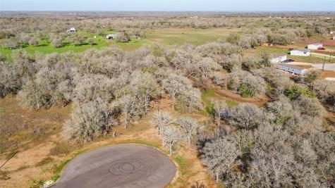 199 Azalea Court Dale TX 78616