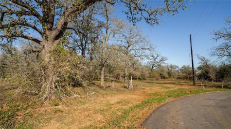 199 Azalea Court Dale TX 78616