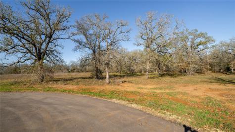 199 Azalea Court Dale TX 78616