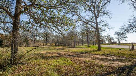 199 Azalea Court Dale TX 78616