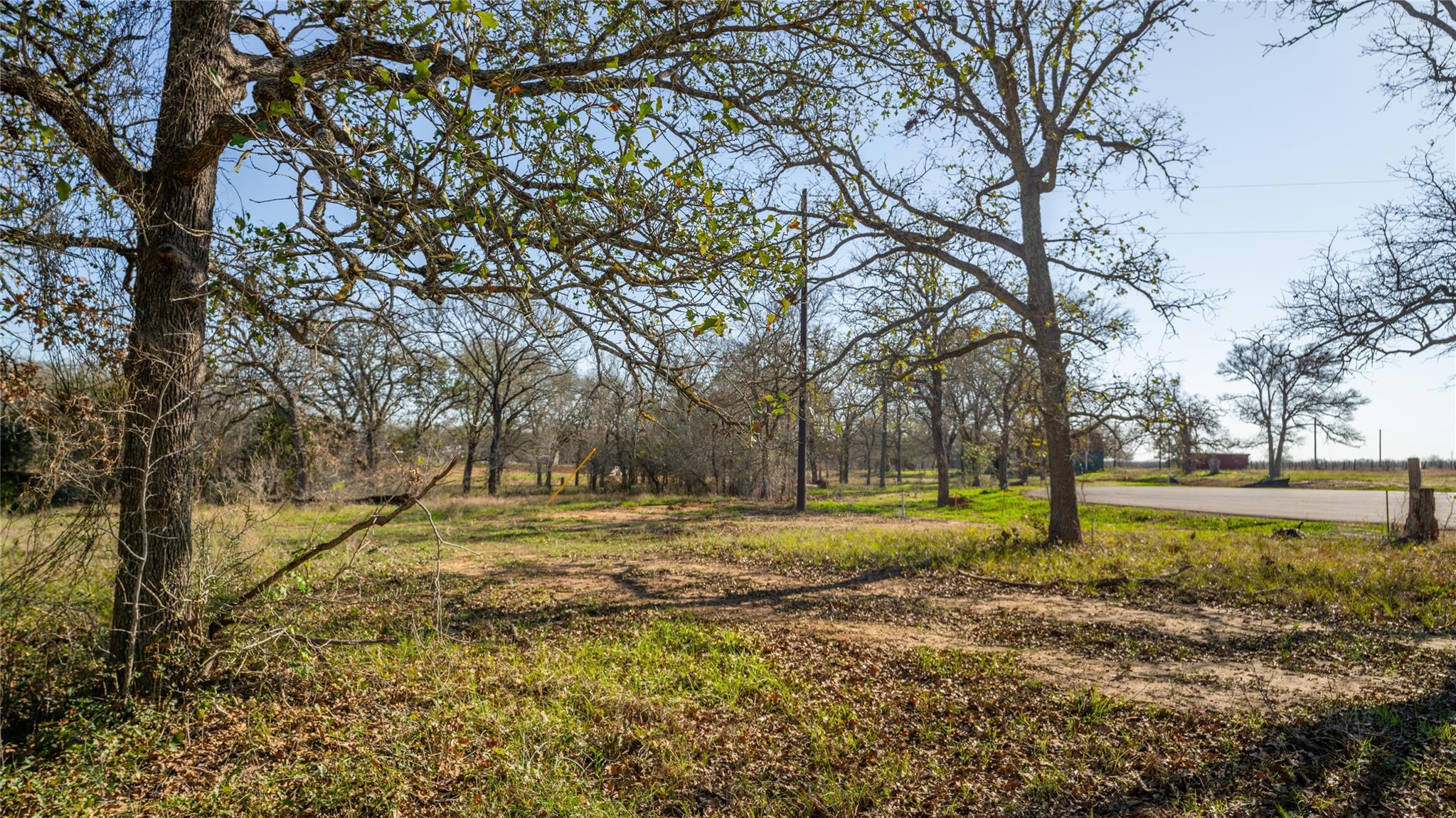 199 Azalea Court Dale TX 78616