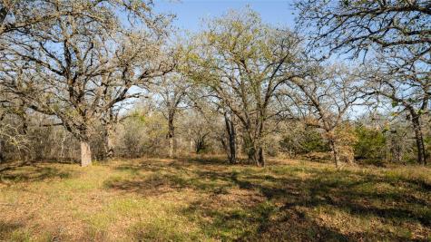 199 Azalea Court Dale TX 78616