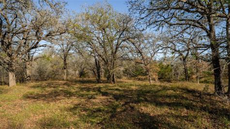 199 Azalea Court Dale TX 78616