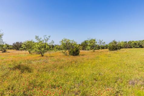 Tbd County Road 3300 Kempner TX 76539