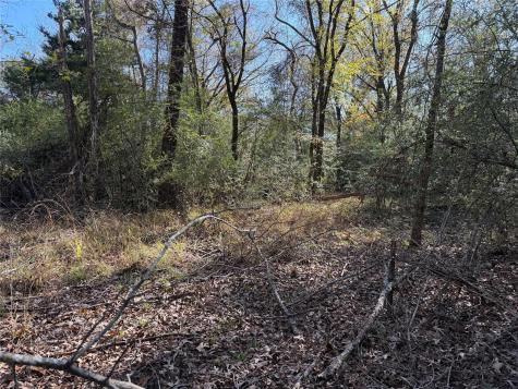 Tbd County Road 301 Tract 7 Fairfield TX 75855