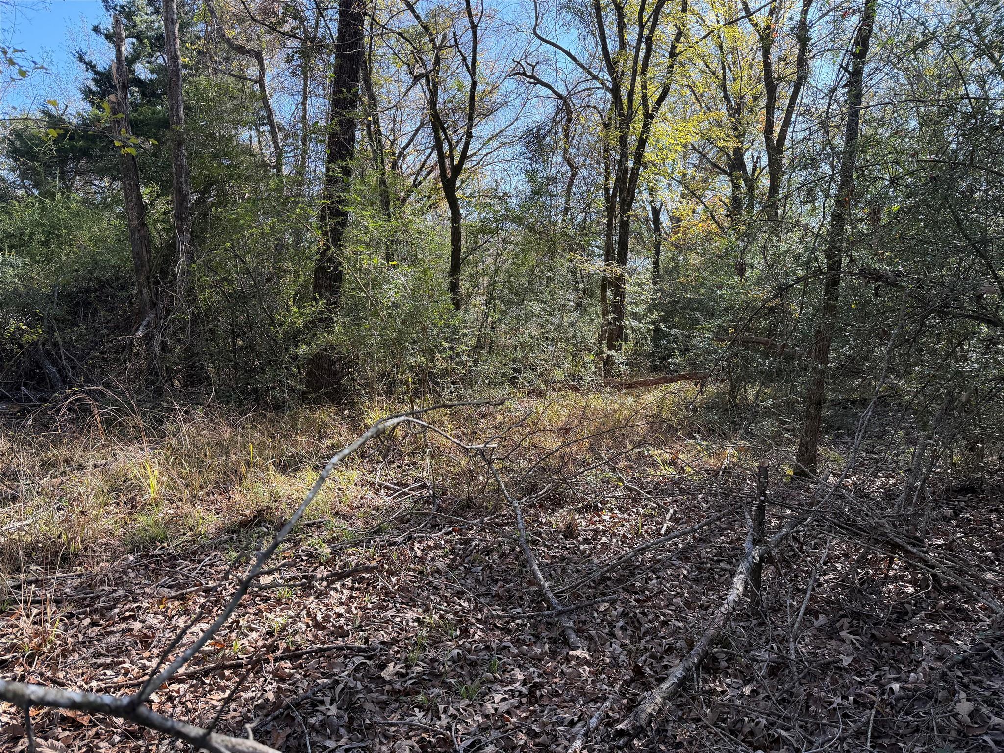 Tbd County Road 301 Tract 7 Fairfield TX 75855