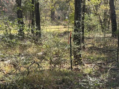 Tbd County Road 301 Tract 7 Fairfield TX 75855