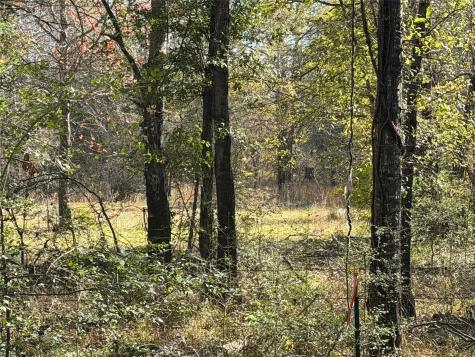 Tbd County Road 301 Tract 7 Fairfield TX 75855