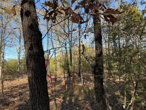 Tbd County Road 301 Tract 7 Fairfield TX 75855