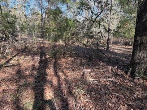 Tbd County Road 301 Tract 7 Fairfield TX 75855