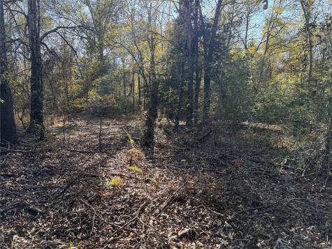 Tbd County Road 301 Tract 7 Fairfield TX 75855