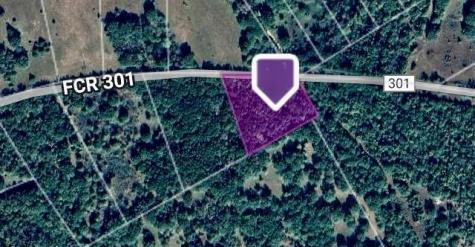 Tbd County Road 301 Tract 7 Fairfield TX 75855