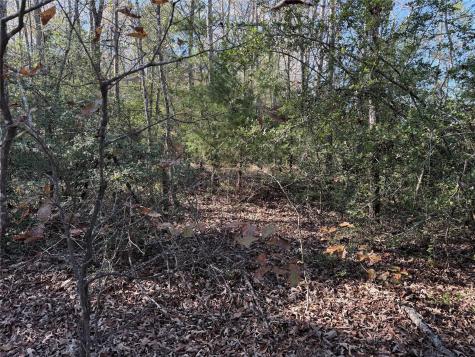 Tbd County Road 301 Tract 7 Fairfield TX 75855