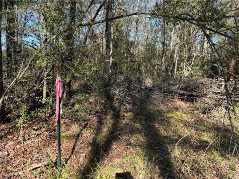 Tbd County Road 301 Tract 7 Fairfield TX 75855
