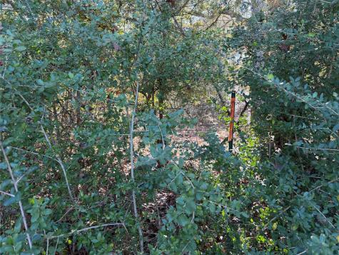 Tbd County Road 301 Tract 7 Fairfield TX 75855