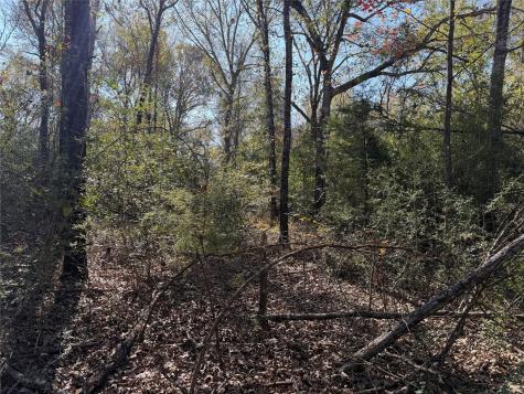 Tbd County Road 301 Tract 7 Fairfield TX 75855