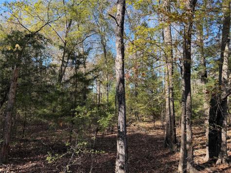 Tbd County Road 301 Tract 7 Fairfield TX 75855