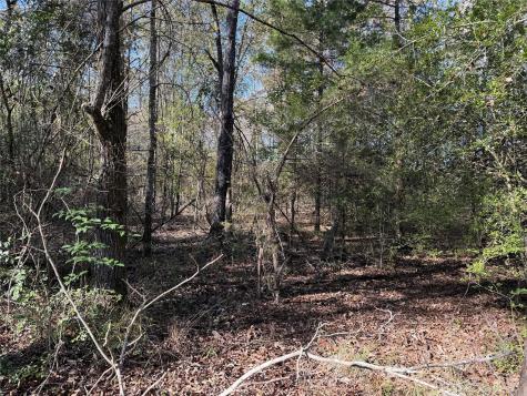 Tbd County Road 301 Tract 7 Fairfield TX 75855