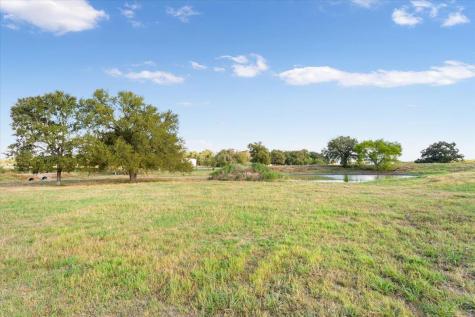 Tbd Wood Road Holland TX 76534